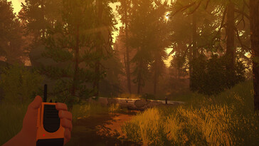 An image showing a forest in Firewatch.