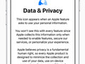Apple iOS 11.3 incorporates a new privacy icon alerting users when their personal data is required. (Source: Apple)