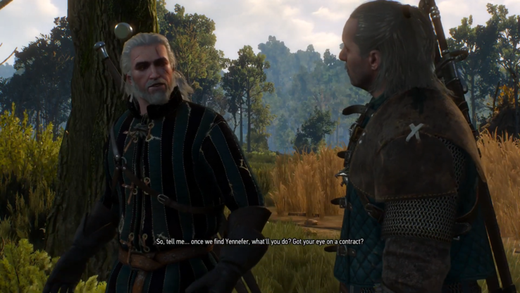 A screenshot of the early gameplay of The Witcher 3: Wild Hunt (Image source: Johnsen1972 via YouTube; screenshot)