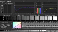 Calman: Grayscale (calibrated)