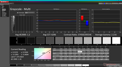 Grayscale before calibration (P3)