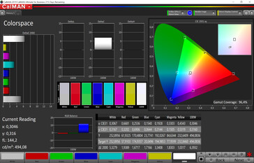 CalMAN - Color Space (Auto, Standard, P3)