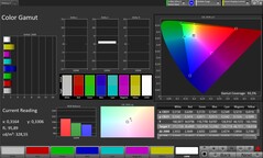 CalMAN color space sRGB