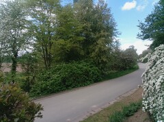 Photo taken using main camera
