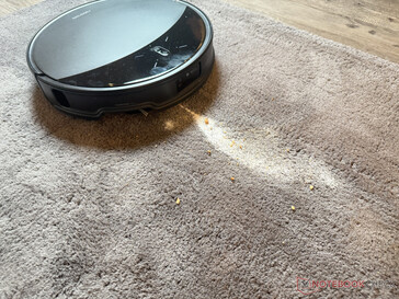 Carpet cleaning