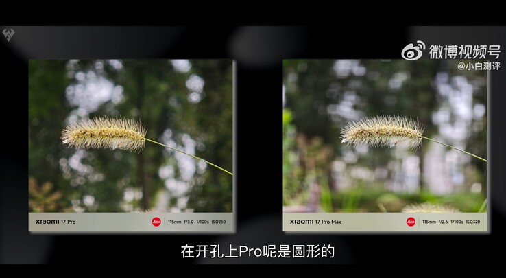 Xiaomi 17 Pro vs Xiaomi 17 Pro Max: Macro photo taken with 5x telephoto compared