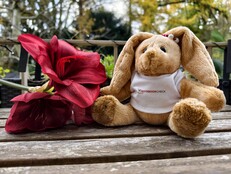 Vivo X300 Pro: Sample photo