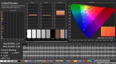 CalMAN: ColorChecker (calibrated)