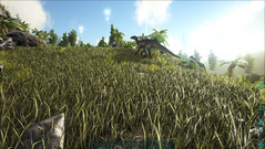 Ark Survival Evolved