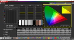 CalMAN ColorChecker (sRGB profile, sRGB target color space)