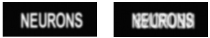 Although no technology exists to directly record human vision, afterimage research suggests that normal subjects perceive single-image text (left), while dyslexics perceive mirror-image text (right). (Image source: DOI 10.3390/brainsci13101478)