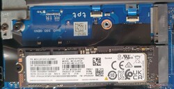 Samsung PM9A1 (MZVL2512HCJQ): PCIe Gen4x4. 2nd slot: Gen3x4.