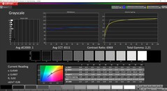 CalMAN grayscale calibrated