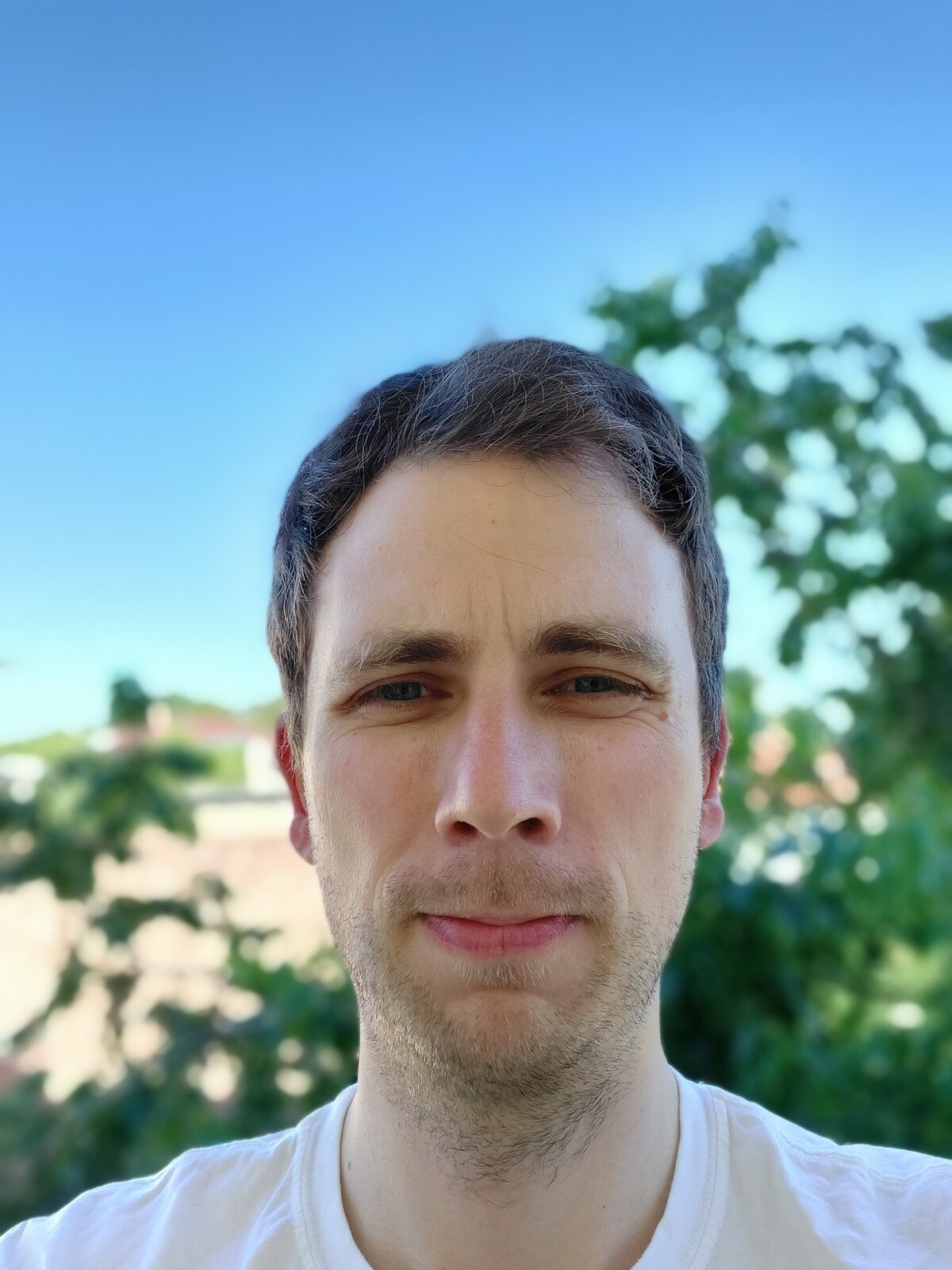 samsung a71 portrait mode