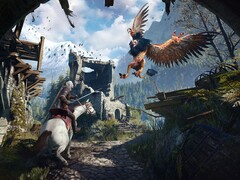 Image from the game The Witcher 3: Wild Hunt. (Image source: Steam)