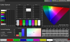 CalMAN sRGB color space