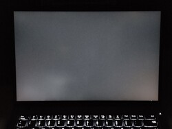 Moderate backlight bleeding (shown enhanced here)