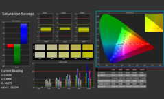 Calman color saturation calibrated