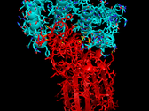 An image of a successful protein match for the SARS-CoV-2 spike. (Source: Rosetta@Home)