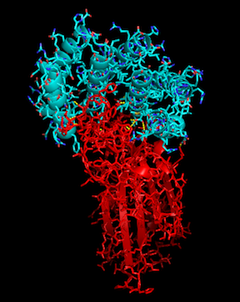 An image of a successful protein match for the SARS-CoV-2 spike. (Source: Rosetta@Home)