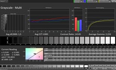Grayscale (profile: Professional, target color space: sRGB)