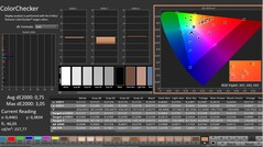 CalMAN: ColorChecker (calibrated)