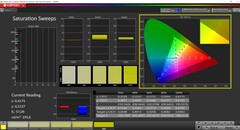 CalMAN Saturation (calibrated)