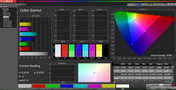 CalMAN color space – Normal