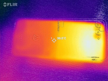 Heat map back