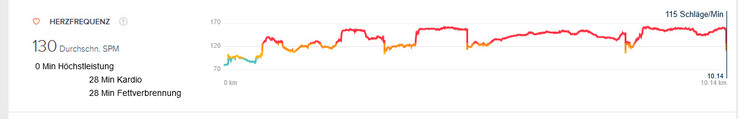 Heart rate measurement of the Google Pixel Watch