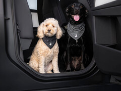 Tesla Dog Mode bandana