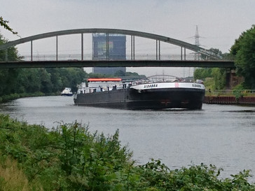 x8 digital zoom