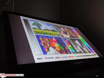 Wide IPS viewing angles