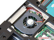 The user should regularly clean the fan and heat sink.