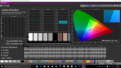 CalMAN ColorChecker with our calibration