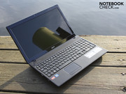 introduces itself as a resistant all-rounder.