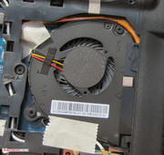 The fans can be removed for cleaning.