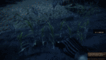 Battlefield 2: Only just smooth in the medium setting, but not in WXGA++
