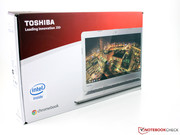 Certainly inexpensive -- Toshiba's Chromebook CB30-102 costs 299 Euros (~$420).