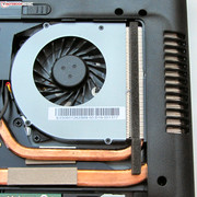 The fan can be removed for cleaning purposes.