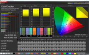 CalMAN Color Accuracy P3