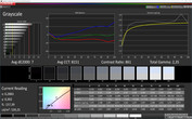 Grayscale (profile: Bravia, target color space sRGB)