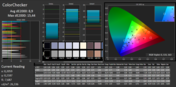 Color Checker Avg dE2000: 8.9