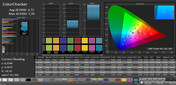 ColorChecker (profile: Simple, target color space AdobeRGB)