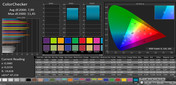 ColorChecker (profile: Cinema, target color space sRGB)