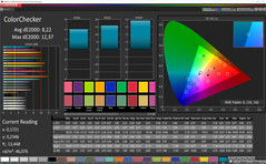 ColorChecker (profile: Cinema, target color space: sRGB)