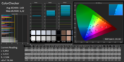 CalMAN ColorChecker (after calibration)