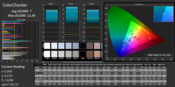 CalMAN ColorChecker