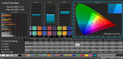 CalMAN Color Accuracy