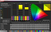 CalMAN ColorChecker sRGB